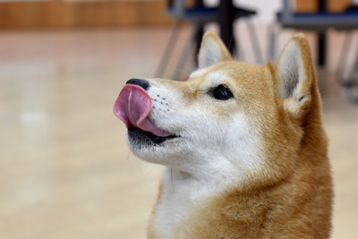 ごほうび外来